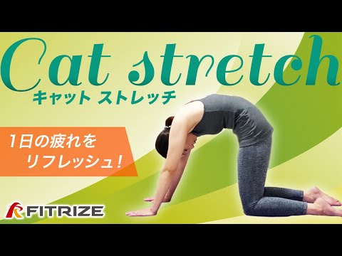 ピラティス【キャットストレッチ】