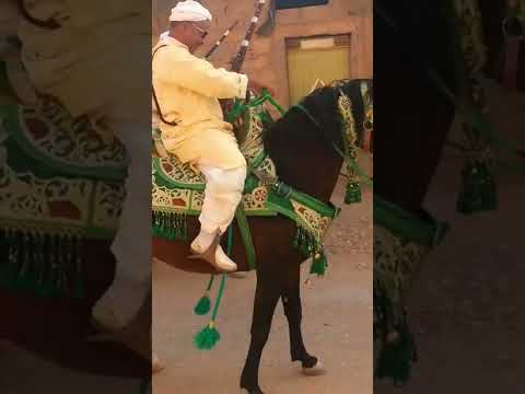 الخيل و البارود و لعلاوي