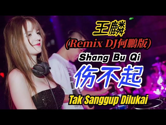 王麟 - 伤不起 (Remix DJ何鵬版) Shang Bu Qi【Tak Sanggup Dilukai】- [Lyrics Pinyin Indonesian Translation] class=