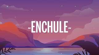 Rauw Alejandro - Enchule (Letra/Lyrics) chords