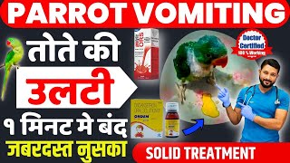 Parrot  Vomiting  Treatment | | Bird Vomiting Treatment | Baby Parrot Vomiting Treatment In Hindi