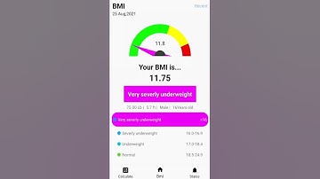 BMI Calculator And Tracker
