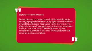 All You Need To Know About Tree Root Intrusion In Sewer Lines From Plumbers In DC