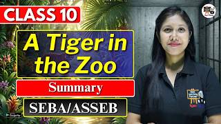 A Tiger in the Zoo | Live with Preeti Ma'am