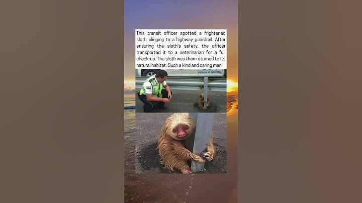 Officer Rescues Scared Sloth