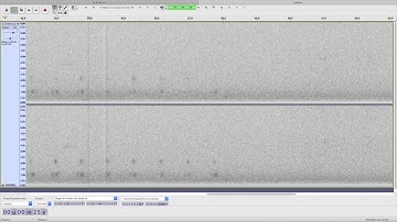 nocmig 20 21 augustus 2020