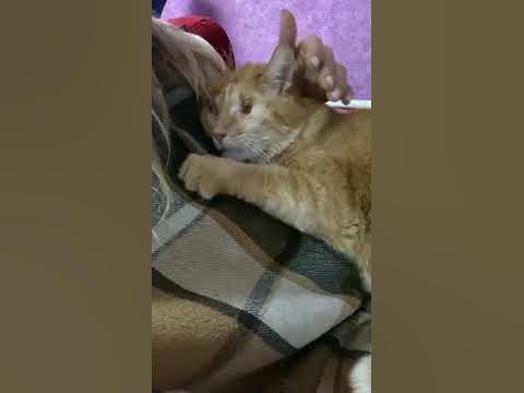Мамин сыночек) - YouTube