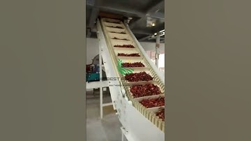 High-Quality Red Chilli Powder: Process & Export by India
