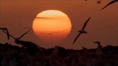 (۱۳) ترجمه تصویری سوره مبارکه رعد