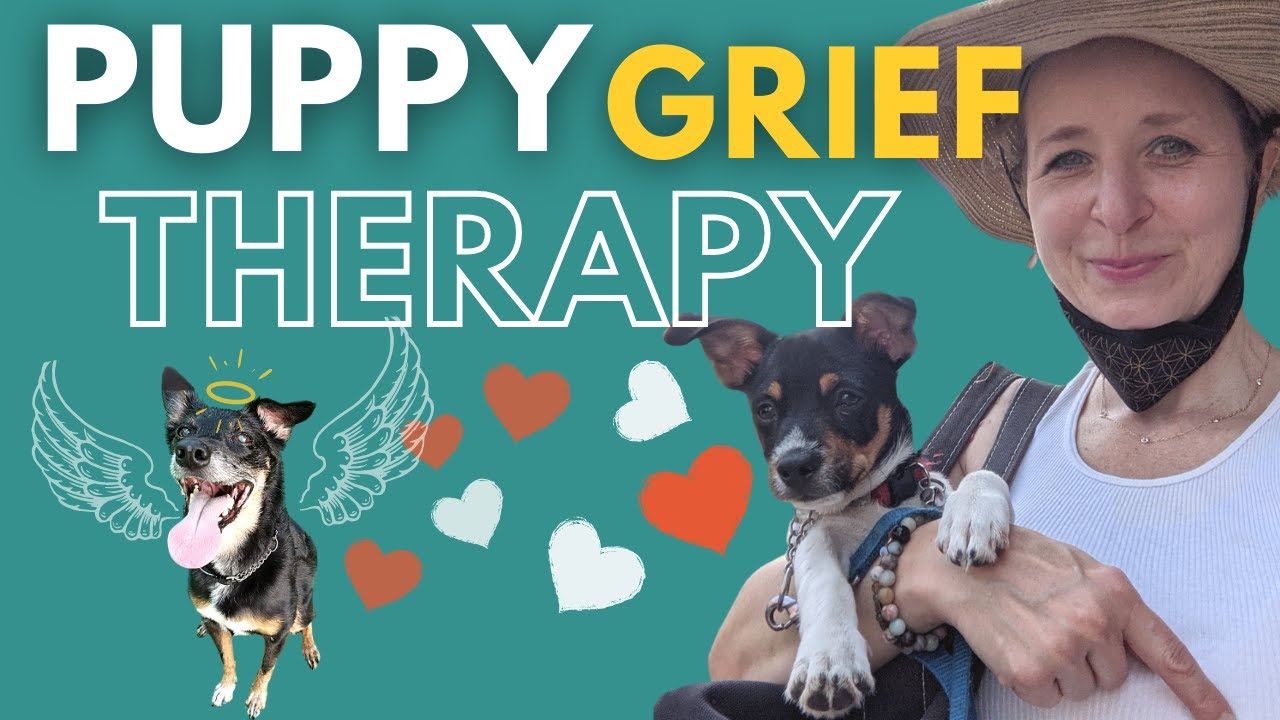 Can a New Dog Help You Recover From Your Last Dog's Death? | Meet Prince Harry Pupper