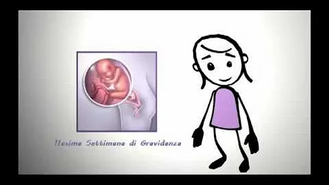 Come si presenta il feto a 11 settimane?