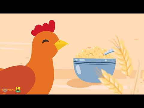 Video: Kde sliepky znášajú vajcia?