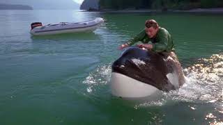 TÉLÉCHARGER SAUVEZ WILLY 3 LA POURSUITE SAUVEZ WILLY 3 LA POURSUITE