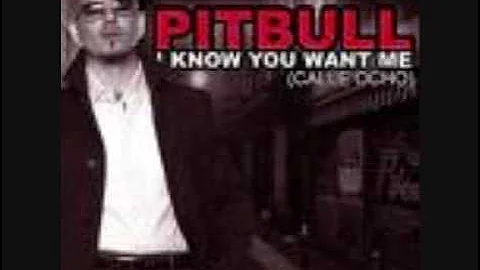 Pitbull I Know You Want Me