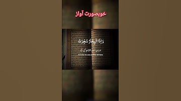 سورة الشمس #islamic_video #beautiful #islamic_video #qurantilawat #quran #virelquran