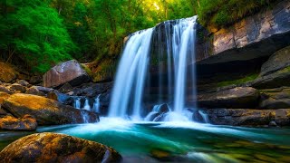 10 hours Waterfall Symphony Ultimate Relaxation Music Forest Sound,birds sound, anxiety, ASMR, water