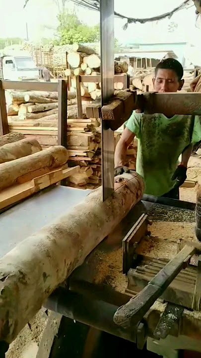 aktivitas pagi operator bandsaw mill #wood #machine #bandsaw