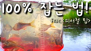 (힐링)피서철 물고기 100%잡는 팁!!  통발낚시 민물통발 통발미끼 장어통발 탐어 채집 통발대박 fish trap 힐링영상