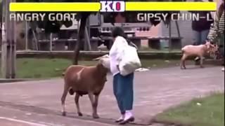 Street Fighter Uman VS Goat - Uomo contro Capra ù.ù