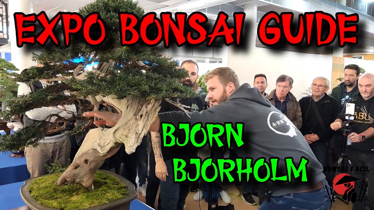 Expo Bonsai ABE2022 guide Bjorn Eiseien Bonsai Bonsai Facil YouTube