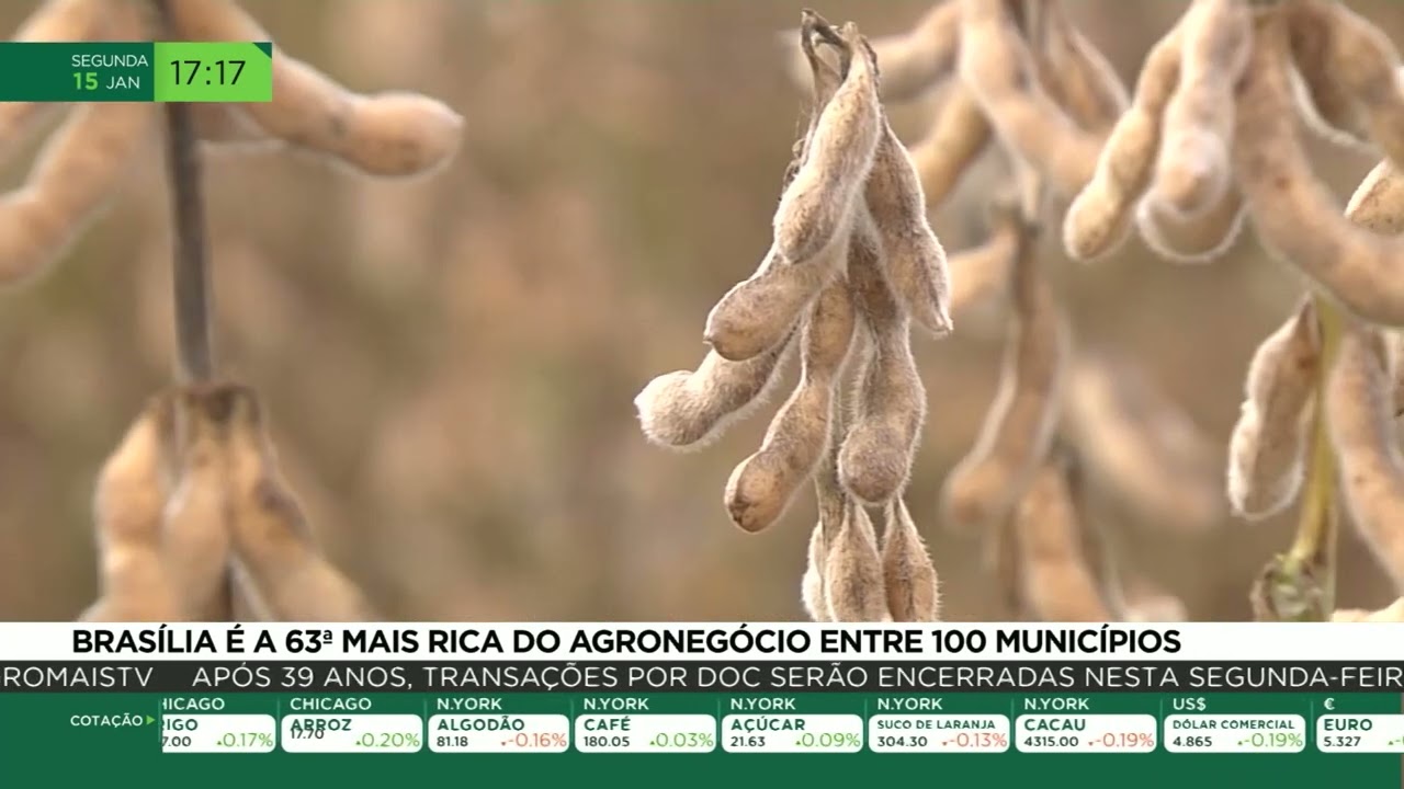 Brasília é a 63º mais rica do agronegócio entre 100 municípios