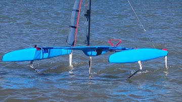 Blue RC foiling Catamaran sailboat mini40 