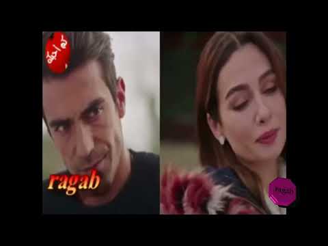 هاني شاكر وشادية مشتريكي شرياك يا عمري