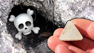 Mystery Treasure Pet Gravestone Cicada Holes & Rats Eat Fluffy Cats Food