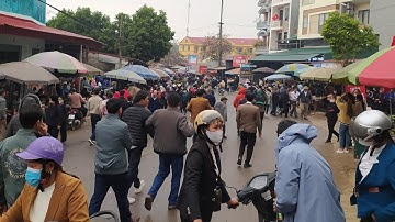 Toàn Cảnh Lễ Hội Phiên Chợ Tình Vùng Cao Tân Sơn - Lục Ngạn - Bắc Giang 12/1/2023 ÂL