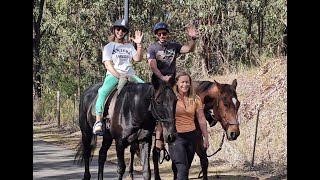 Guided Horse Ride Picnics At Ss Equine Australia