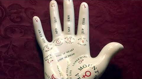 Palm Reading lesson - Palmistry for Beginners by Paris Debono