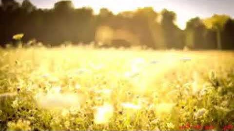 الشيخ عبد الباسط عبد الصمد _ما تيسر من سورة هود _من تسجيلات الإذاعة المصرية أوائل الستينات