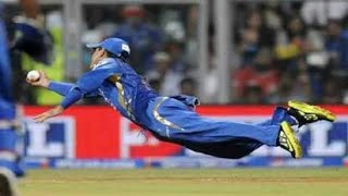 Best Catches in Cricket History! Best Acrobatic Catches!