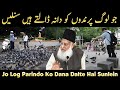 Islam Parindon Se Mohabbat Ka Paigham Deta Hai Dana Dena Aur Pani Pilana Dr Israr Ahmed Islam Parindon Se Mohabbat Ka Paigham Deta Hai Dana Dena Aur Pani Pilana Dr Israr Ahmed