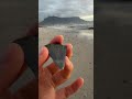 Finding Fossils along Milnerton Beach