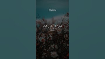ماتيسر من سورة الأحقاف بصوتٍ رقيقٍ عذب ♥️🌿
