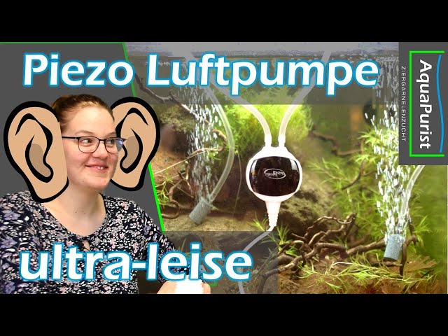  boxtech Ultra-Leise Luftpumpe für Aquarium, Die