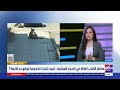 أزمة الكلاب الضالة في الشارع المصري ما بين حماية الإنسان وحقوق الحيوان