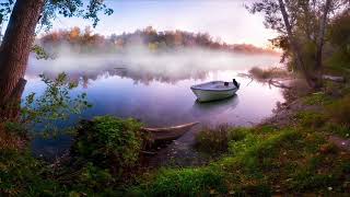 Cricket Sounds - Misty Pond: A Tranquil Mist with the Soothing Sounds of Crickets by Ridge Runner Productions 1,032 views 1 year ago 10 hours, 6 minutes