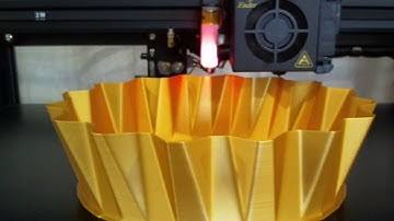 Vase mode. timelapse.