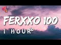 [1 HOUR 🕐 ] Feid - Ferxxo 100