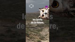Écoutez un Homme de Néandertal vous parler