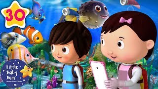 10 little fishes brand new baby songs nursery rhymes kids songs little baby bum