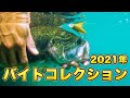 【Chest114】2021年トップウォーターバイトコレクション