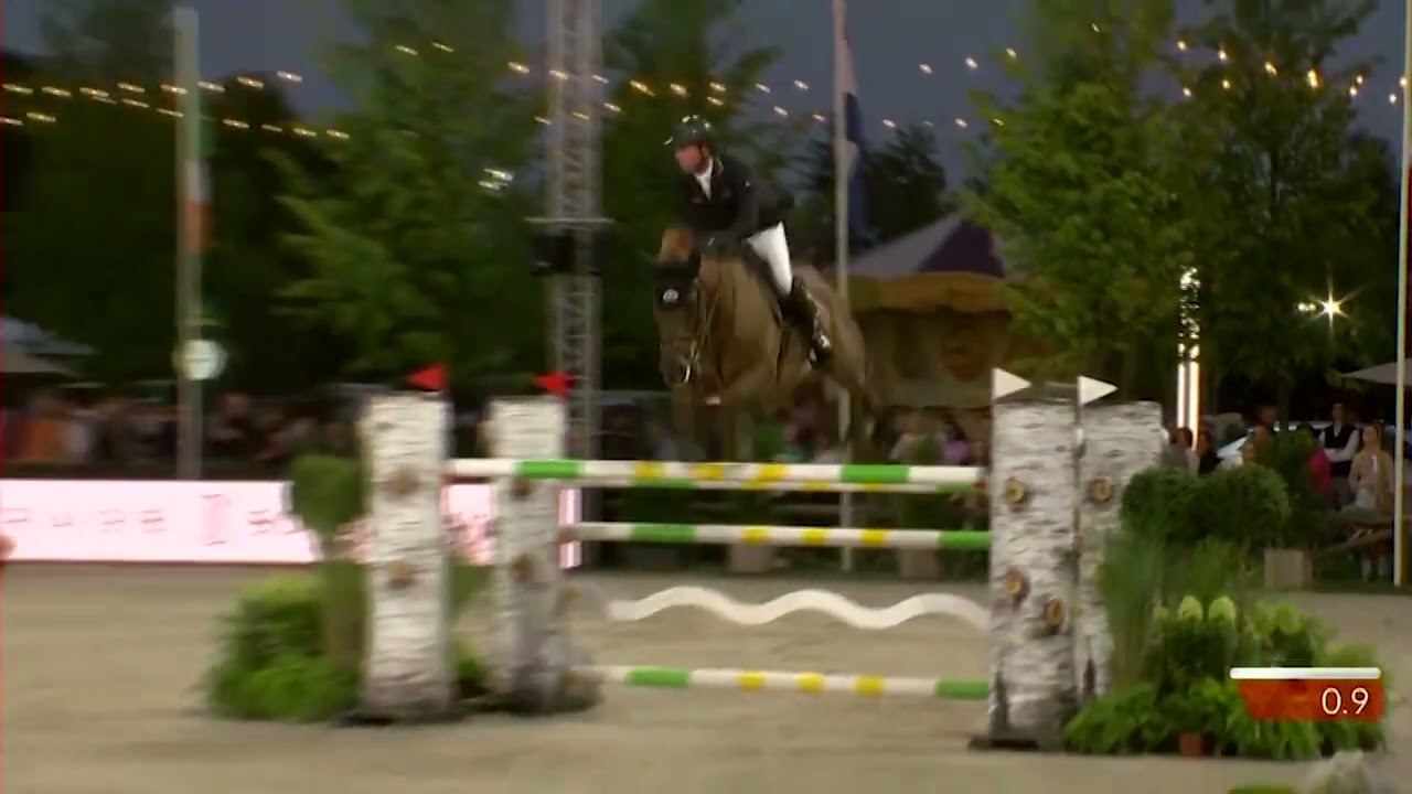 Conthargos   Stallion Collection Schockemoehle 2021 EN