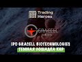 IPO Gracell Biotechnologies (GRCL) | Прожарка компании перед IPO | Брокер Freedom Finance
