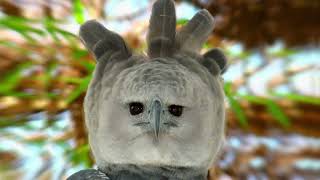 5 Eagles That Could Defeat A Harpy Eagle