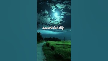 #قرآن_كريم #آل_عمران #سورة_آل_عمران  #quran #foryou #viral #اجر_لي_ولكم