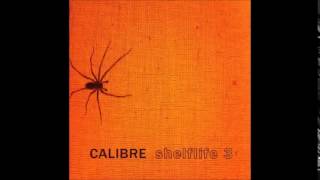 calibre rooftops original mix
