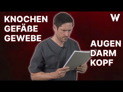 Video: Wenn Sie dies Ihrer Dogge täglich geben, kann dies dazu beitragen, schmerzhafte Hautallergien zu lindern